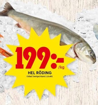ICA Kvantum Hel Röding erbjuda