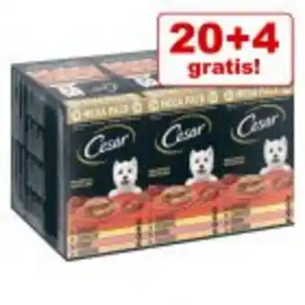 Zooplus 20 + 4 på köpet! 24 x 150 g megapack cesar erbjuda