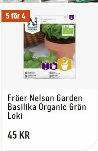 Granngården Fröer Nelson Garden Basilika Organic Grön Loki erbjuda