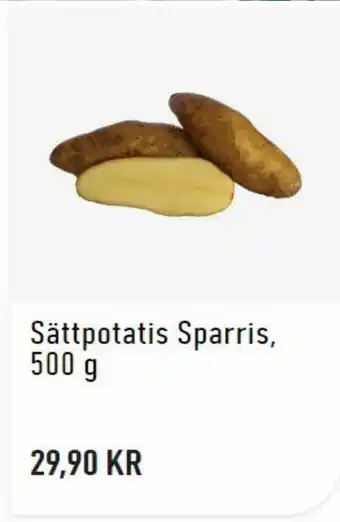 Sättpotatis Sparris 500g