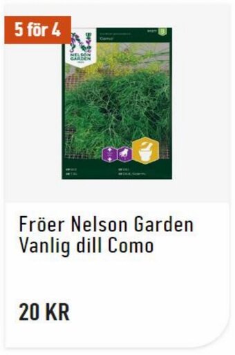 Granngården Fröer Nelson Garden Vanlig Dill Como erbjuda