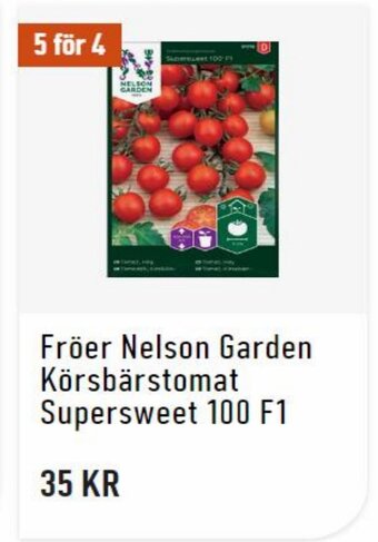 Granngården Fröer Nelson Garden Körsbärstomat Supersweet 100 F1 erbjuda