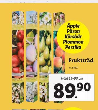 Lidl Fruktträd erbjuda