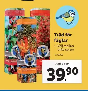 Lidl Träd för fåglar erbjuda