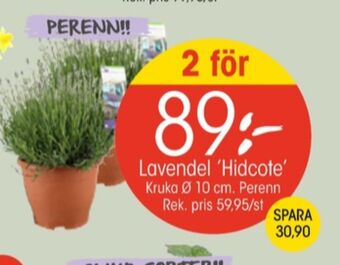 Cult design sweden plantor