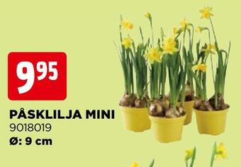 Jem&Fix Påsklilja mini erbjuda