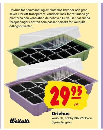 Drivhus