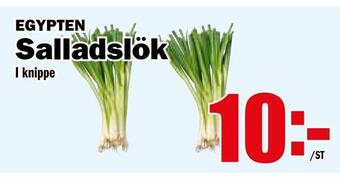 Matdax Salladslök erbjuda