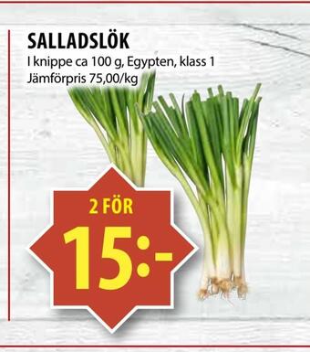 Matvärlden Tensta Salladslök erbjuda