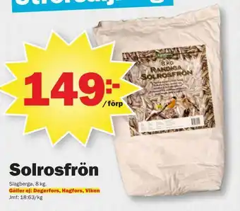Solrosfrön