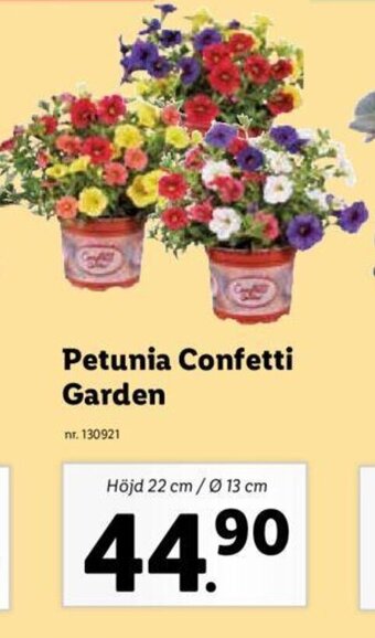 Lidl Petunia Confetti Garden erbjuda