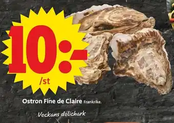 Ostron Fine De Claire