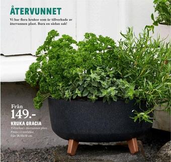 Kruka gracia