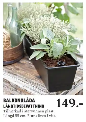 Blomsterlandet Balkonglåda erbjuda