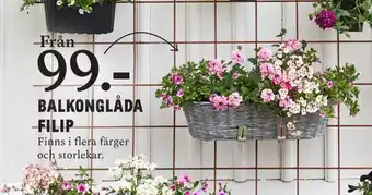 Blomsterlandet Balkonglåda filip erbjuda