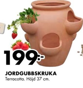 ÖoB Odla krukor erbjuda