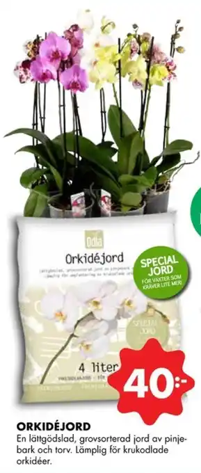 ÖoB Odla orkidéjord erbjuda