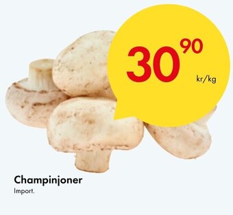 Snabbgross Champinjoner erbjuda