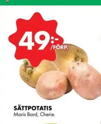 Sättpotatis
