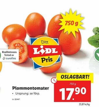 Lidl Plommontomater erbjuda