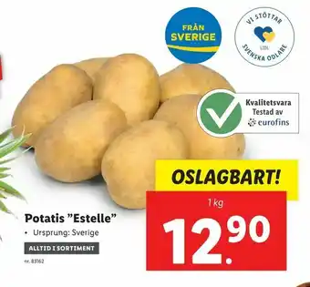 Potatis "Estelle"