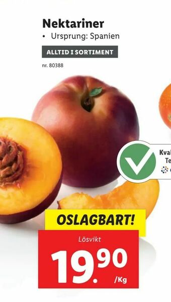 Lidl Nektariner erbjuda