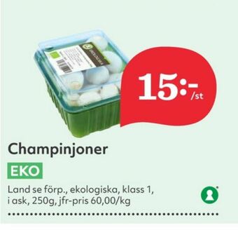 Hemköp Champinjoner erbjuda