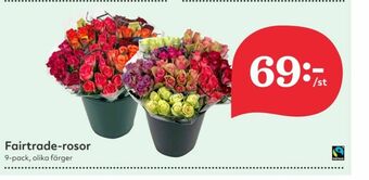Hemköp Blommor erbjuda