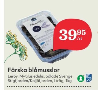Hemköp Leröy Blåmusslor erbjuda