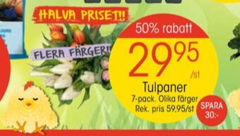 EKO Blommor erbjuda