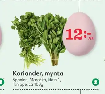 Hemköp Garant koriander erbjuda