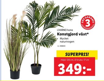 Konstgjord Växt