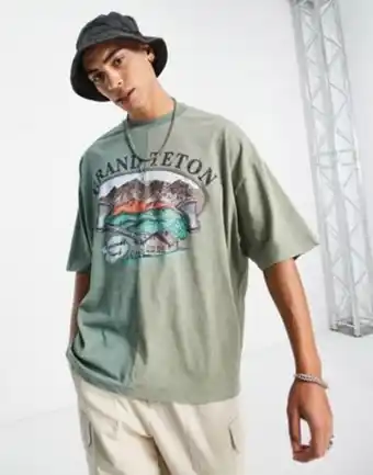 Asos design – grön, blockfärgad t-shirt i oversize med grand teton-tryck