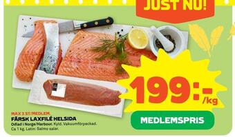 Färsk laxfilé helsida