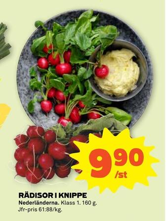 Stora Coop Rädisor i knippe erbjuda