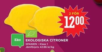 Ekologiska citroner