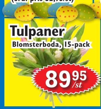 T-jarlen Tulpaner erbjuda