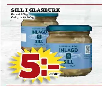 Sill i glasburk