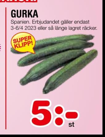 Nya Pulsen Gurka erbjuda