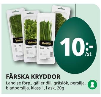 Tempo Färska kryddor erbjuda