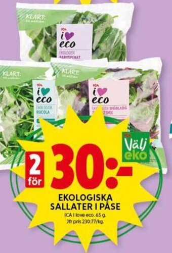 ICA Kvantum Ekologiska Sallater i Påse erbjuda