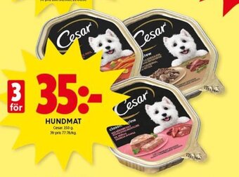 ICA Kvantum Hundmat erbjuda