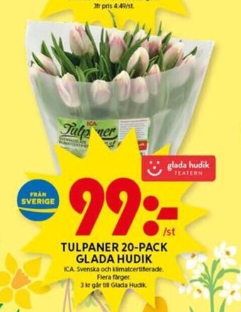 ICA Kvantum Tulpaner 20-pack Glada Hudik erbjuda