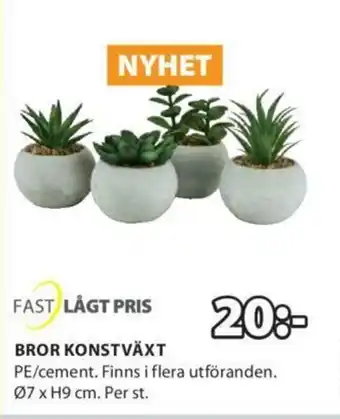 JYSK Fast Lågt Pris Bror Konstväxt Ø7 x H9cm erbjuda