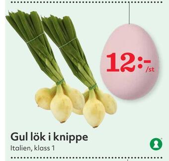 Hemköp Gul lök i knippe erbjuda