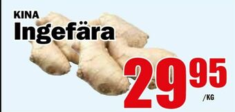 Matdax Ingefära erbjuda