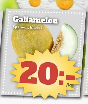 Galiamelon