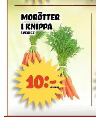 Nelins Morötter i knippa erbjuda