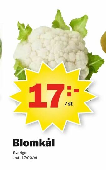 Pekås Blomkål erbjuda