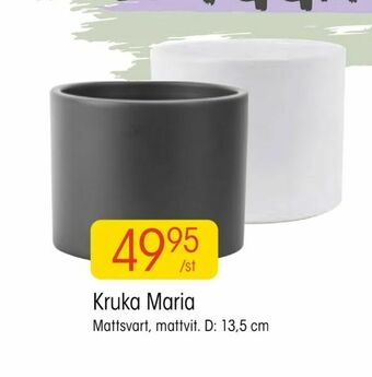 EKO Kruka Maria erbjuda